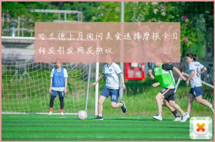 哈兰德上月询问美食选择摩根今日转发引发网友热议