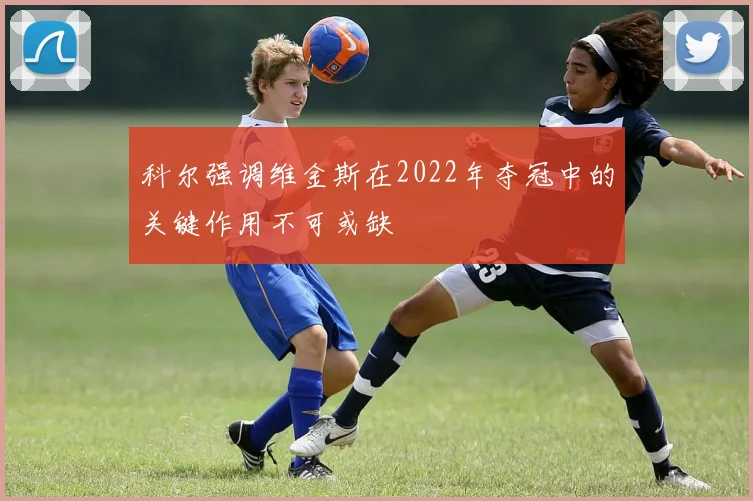 科尔强调维金斯在2022年夺冠中的关键作用不可或缺