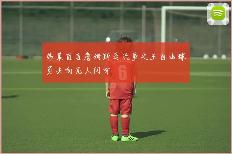 弗莱直言詹姆斯是流量之王自由球员去向无人问津