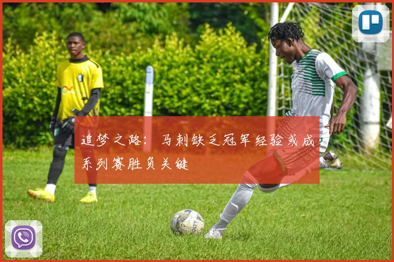 追梦之路：马刺缺乏冠军经验或成系列赛胜负关键