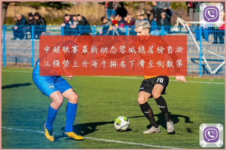 中超联赛最新动态蓉城稳居榜首浙江强势上升海牛排名下滑至倒数第三